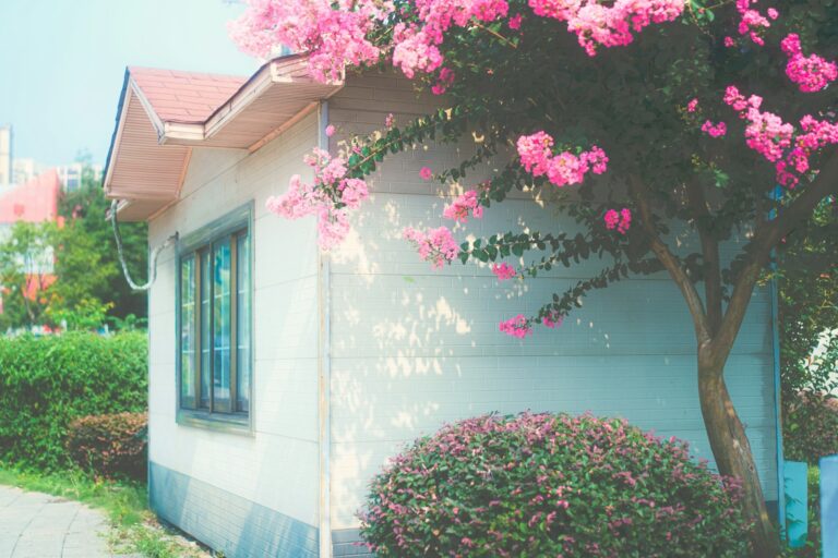 Pink flowers bloom near a little house.